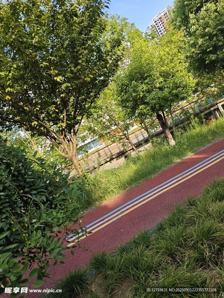 林间红径