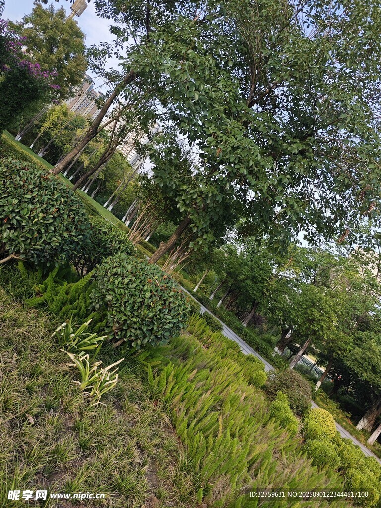 绿意盎然的园林景观