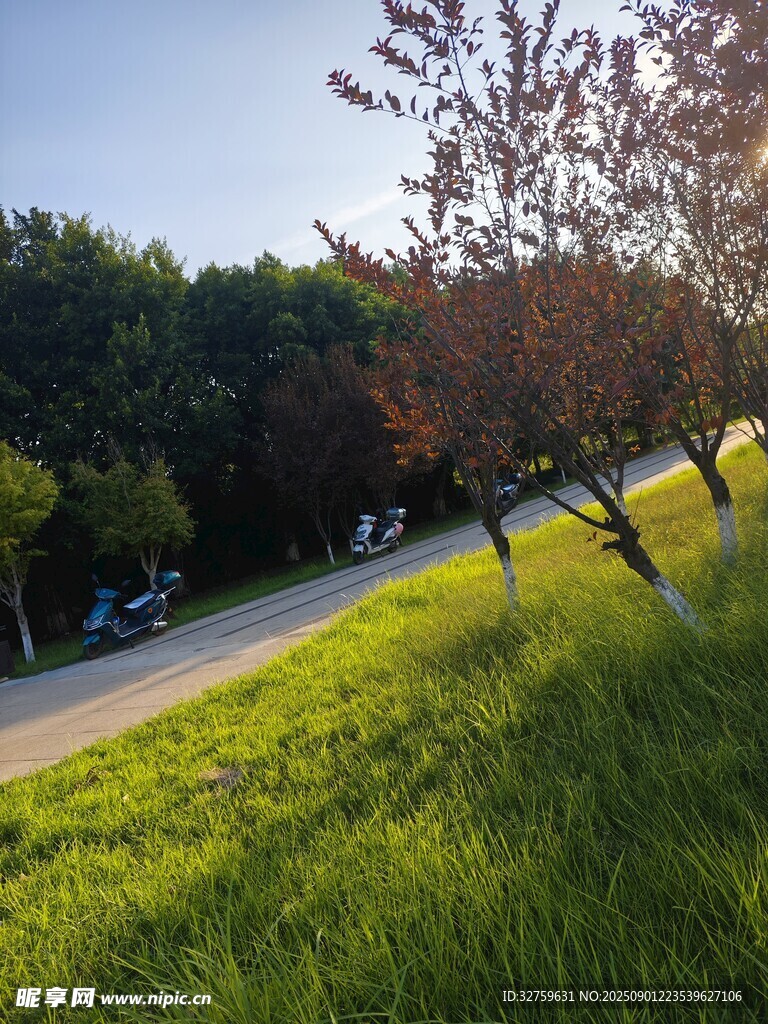 公园绿意盎然的休闲小径