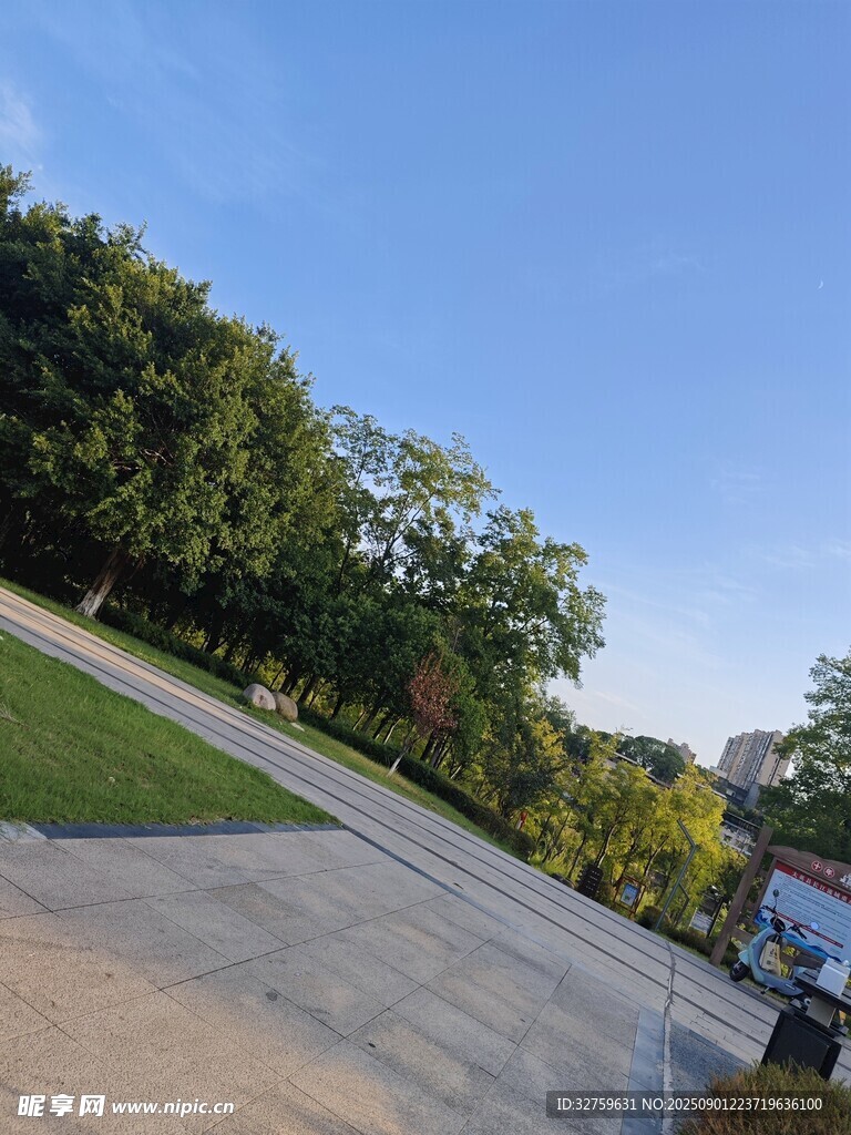 户外绿树环绕的开阔道路
