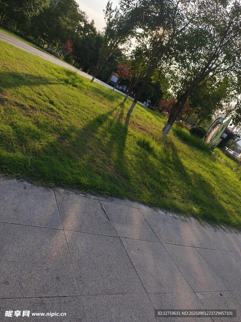 户外草地与道路风景