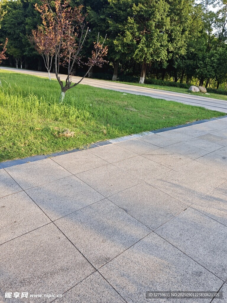 公园中的平坦水泥步道