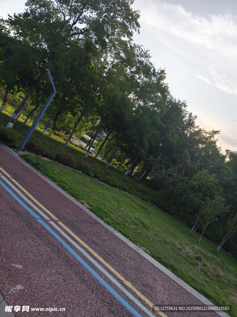 公园彩色步道与绿树景观