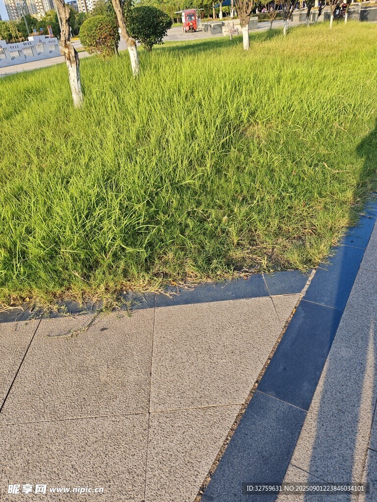 路边草地与水泥路面景象