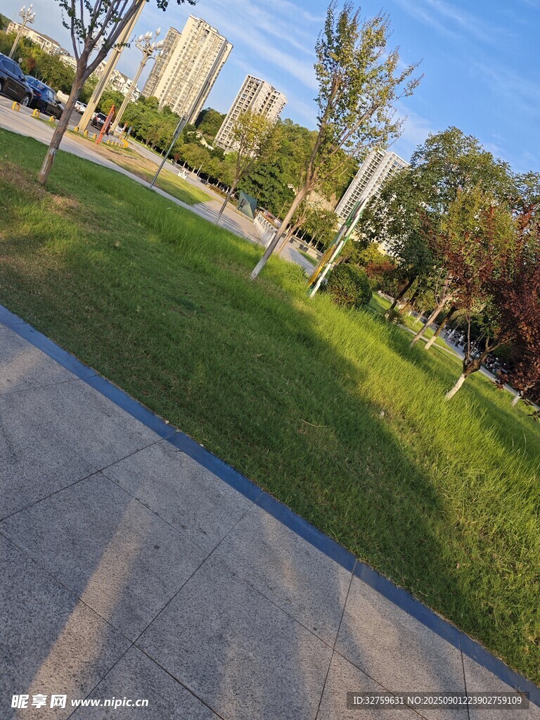城市公园中的草地与步道