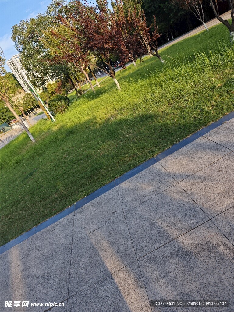 户外公园的步道与绿地