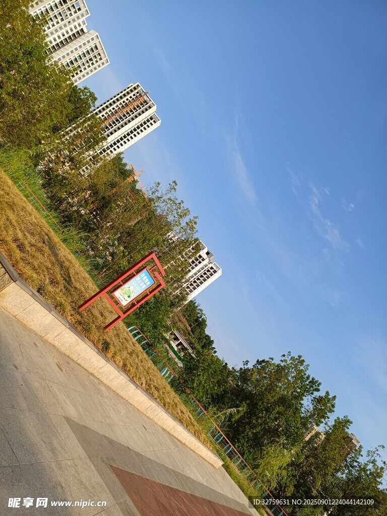 城市公园中的休闲景致