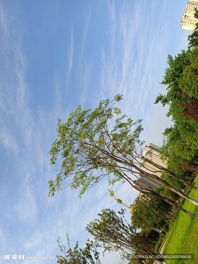 蓝天绿树风景图
