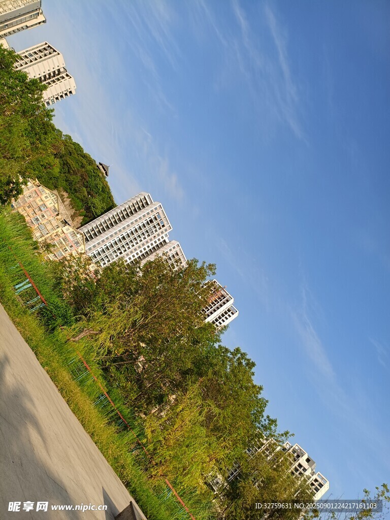 城市道路旁的绿树与高楼