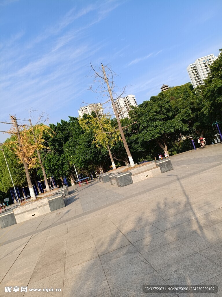 城市广场绿树成荫景致