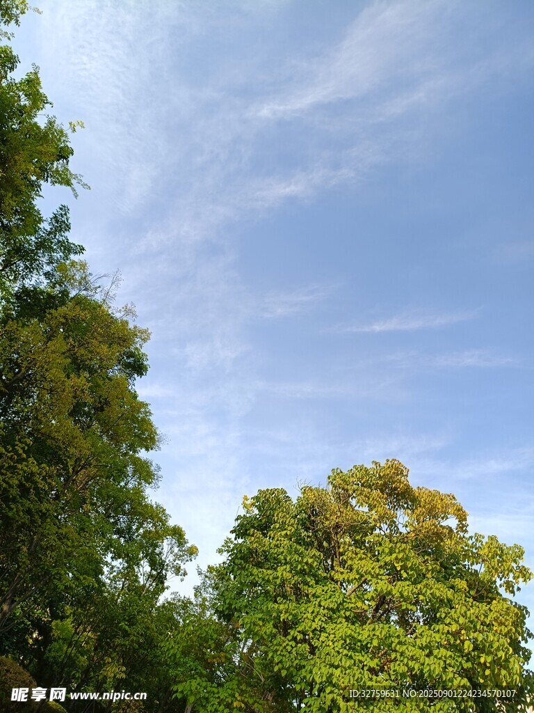 蓝天绿树自然美景