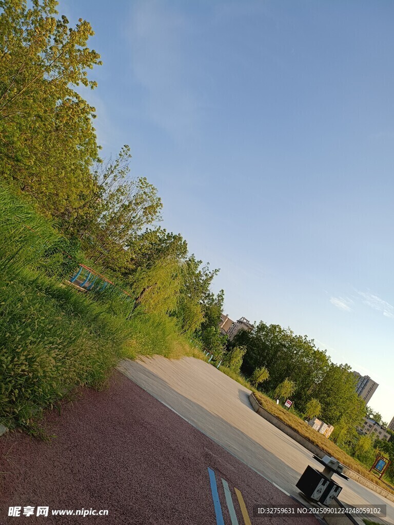 户外骑行道旁的绿意风景