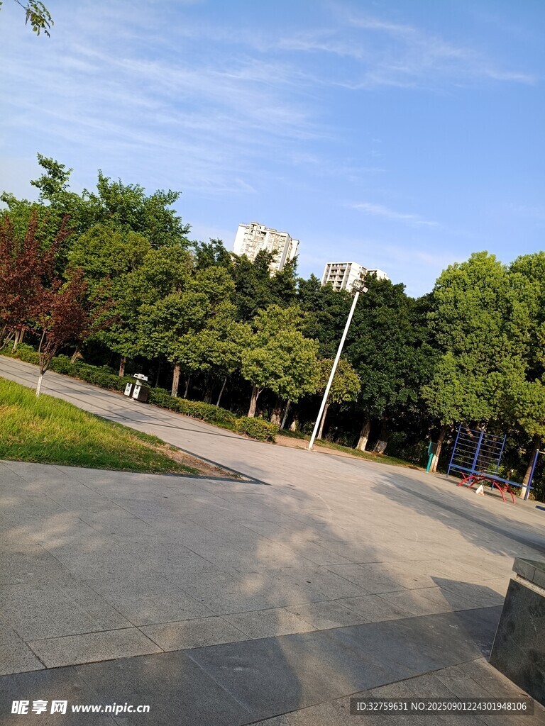 公园中的开阔道路与绿树