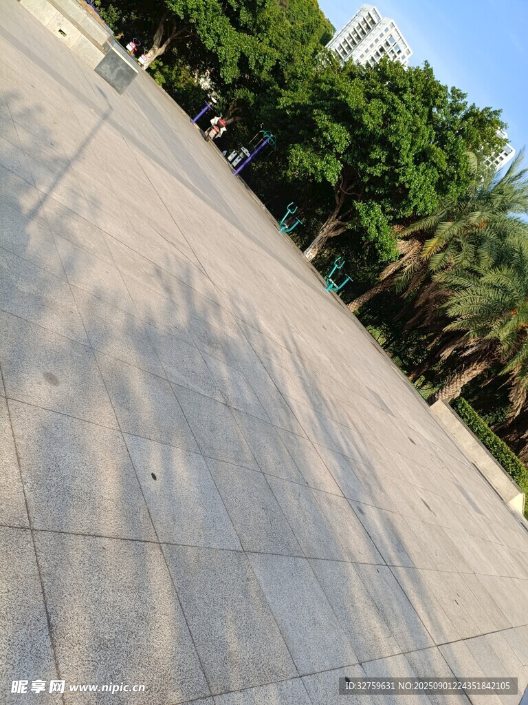 户外广场地面与绿树景观
