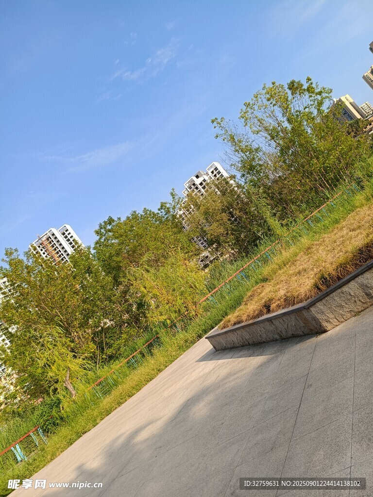 城市中的绿意道路景观