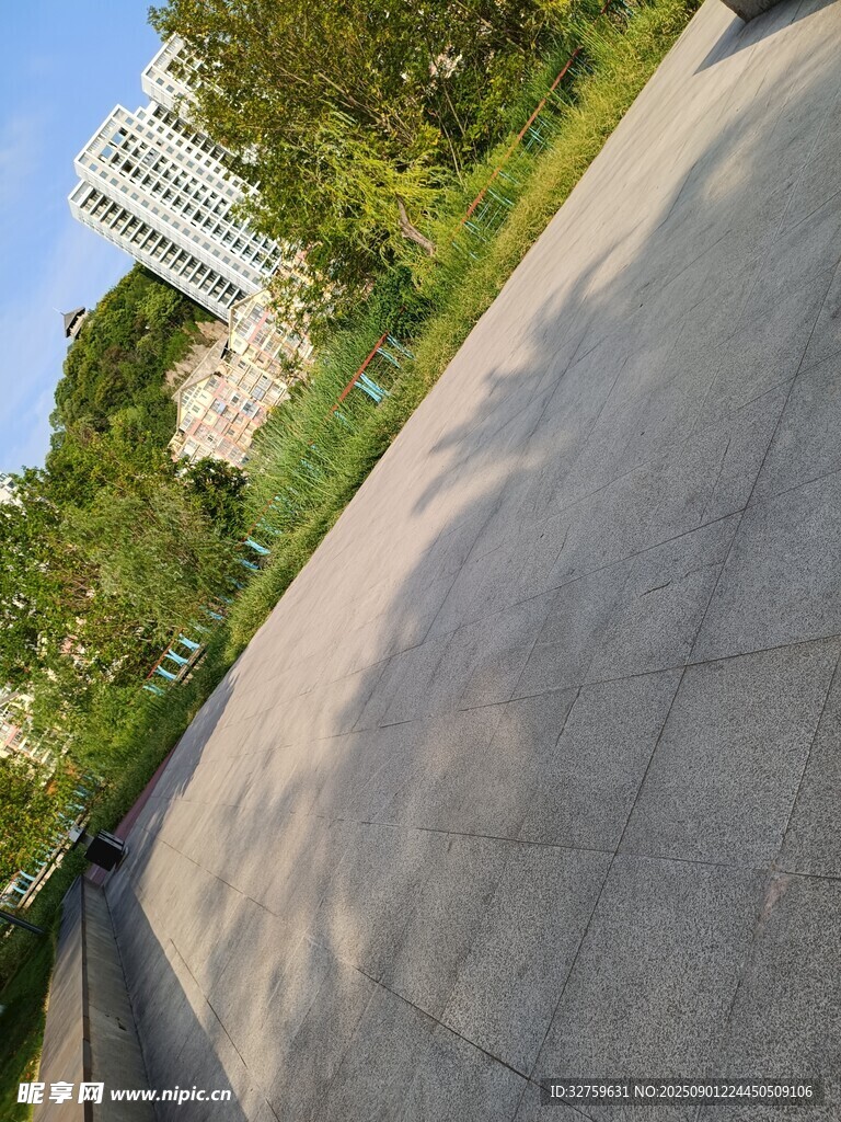 户外开阔道路与绿植景观