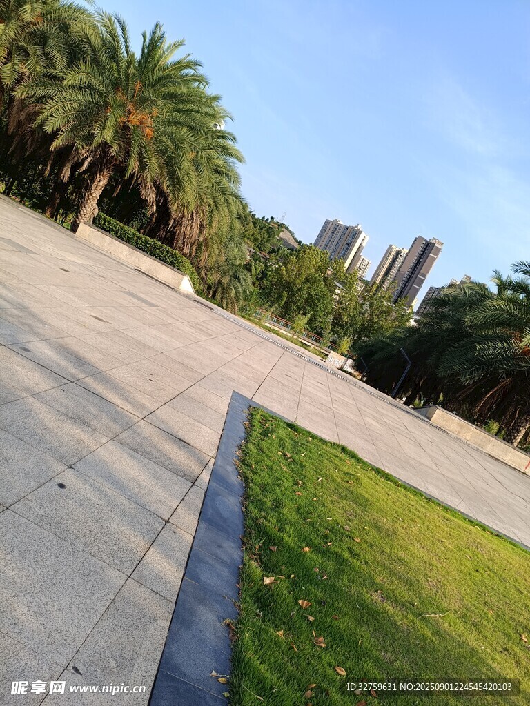 城市中开阔的绿植广场