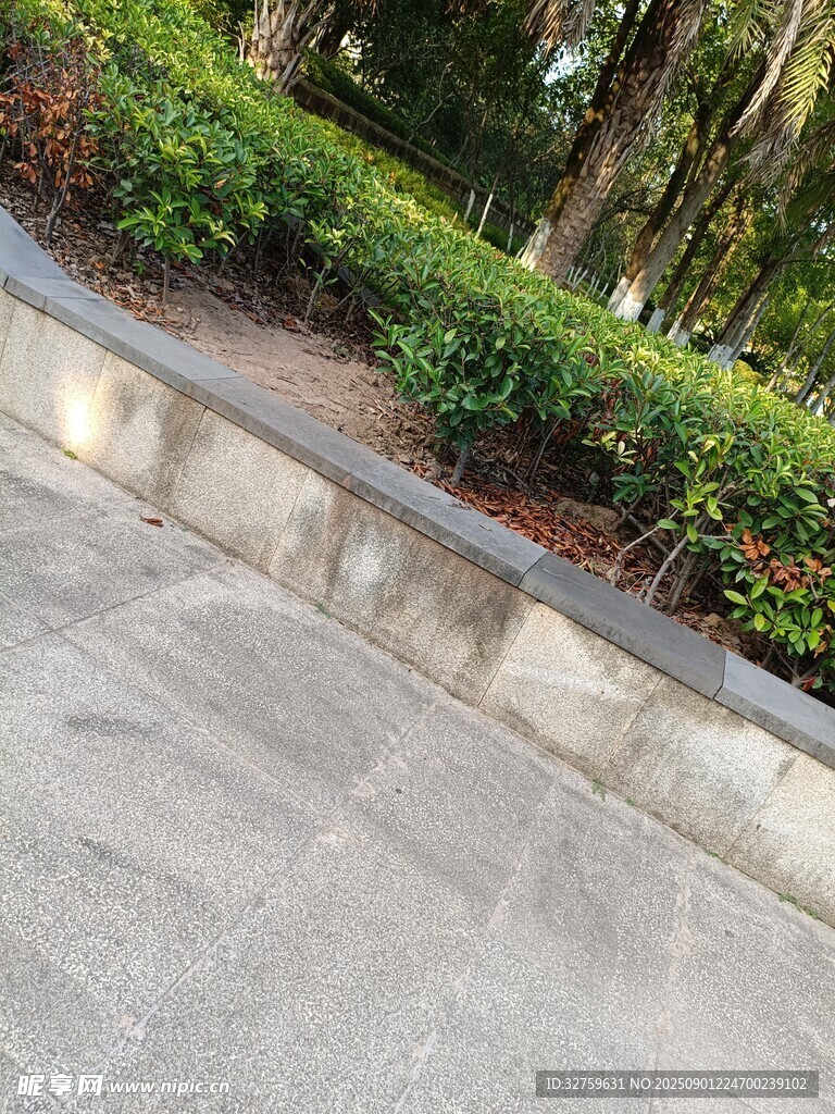 路边绿植景观