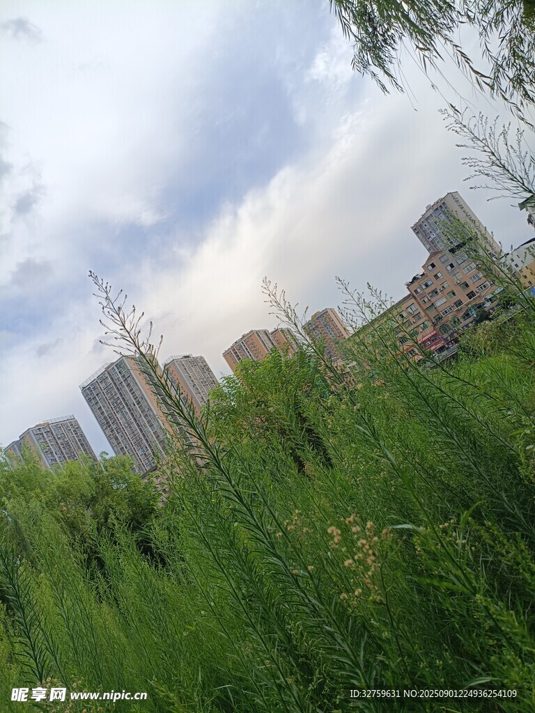 城市草地间的高楼景致