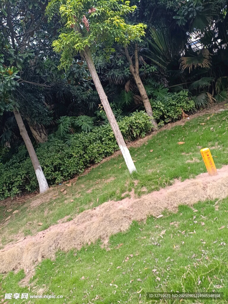 户外绿地旁的树木与土堆