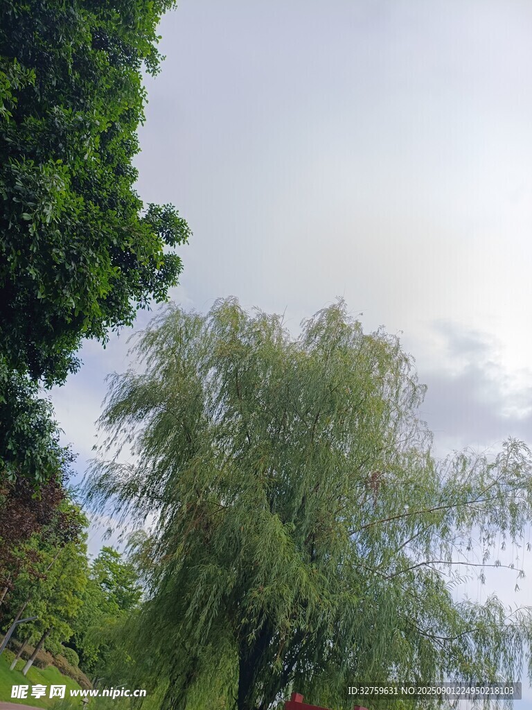 绿树成荫的自然景致