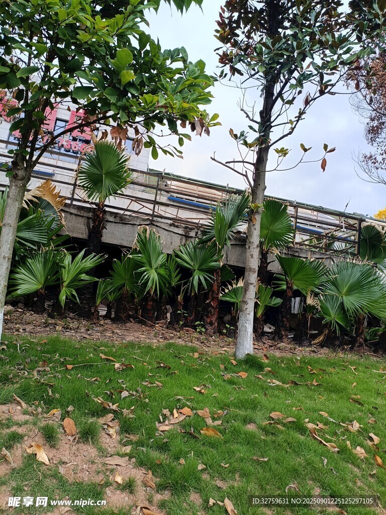 户外绿植环绕的休闲场景