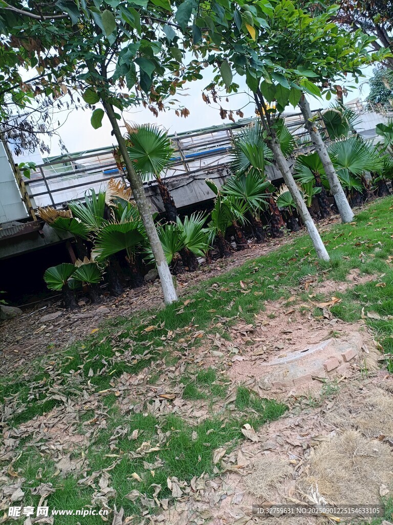 户外绿植环绕的休闲区域