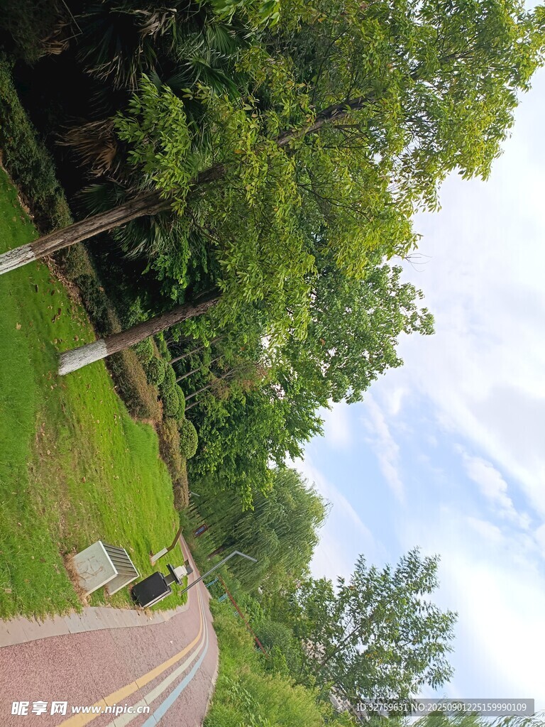 林间骑行道 