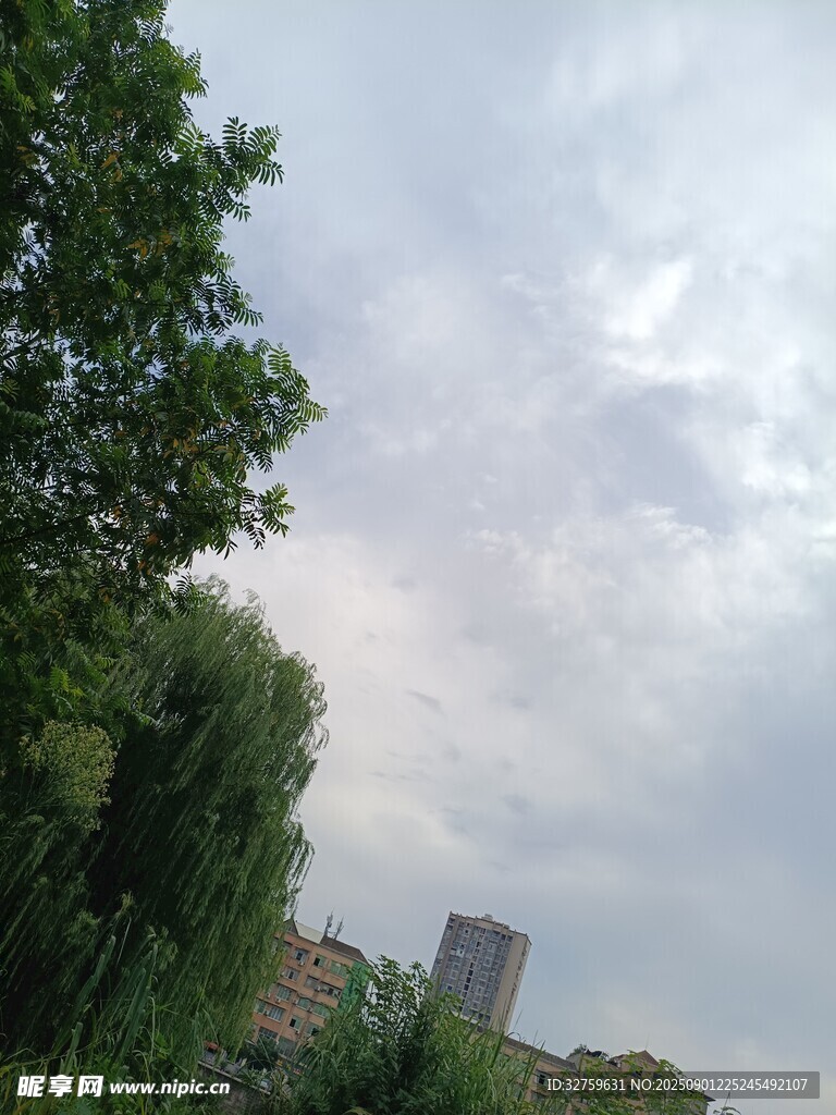 绿树掩映下的天空与建筑