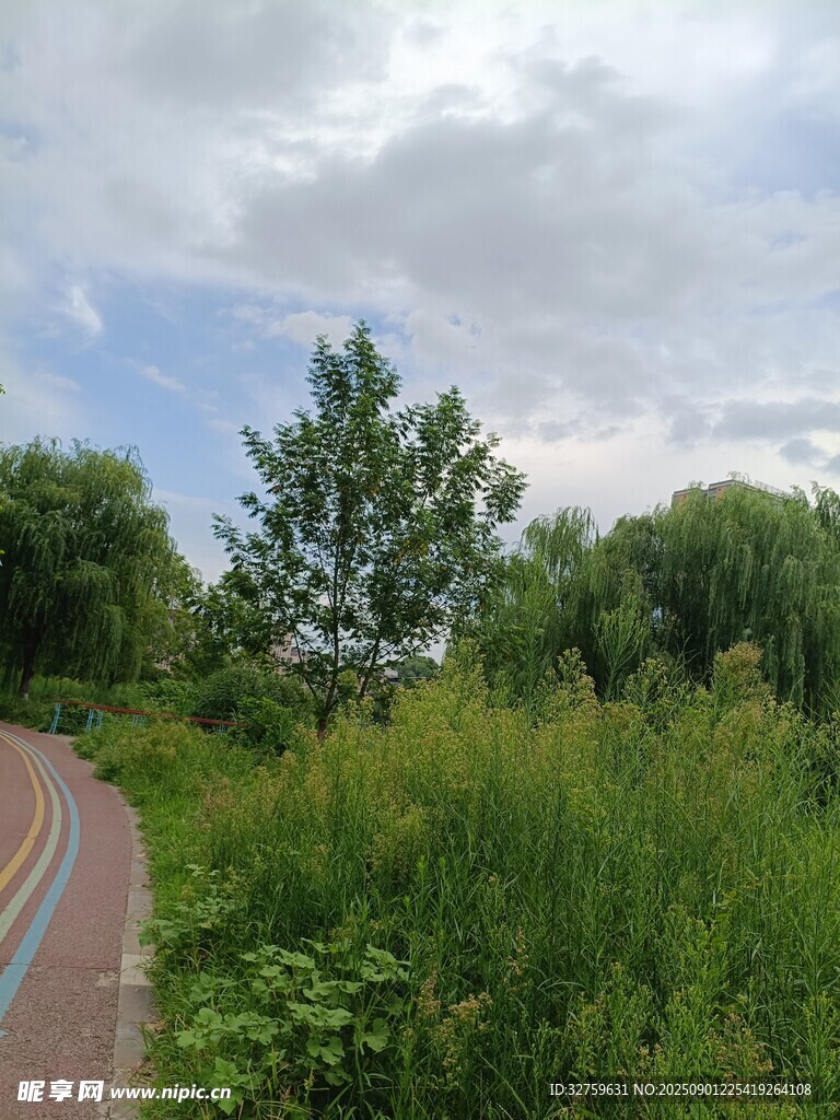 郊外绿意盎然的骑行小路