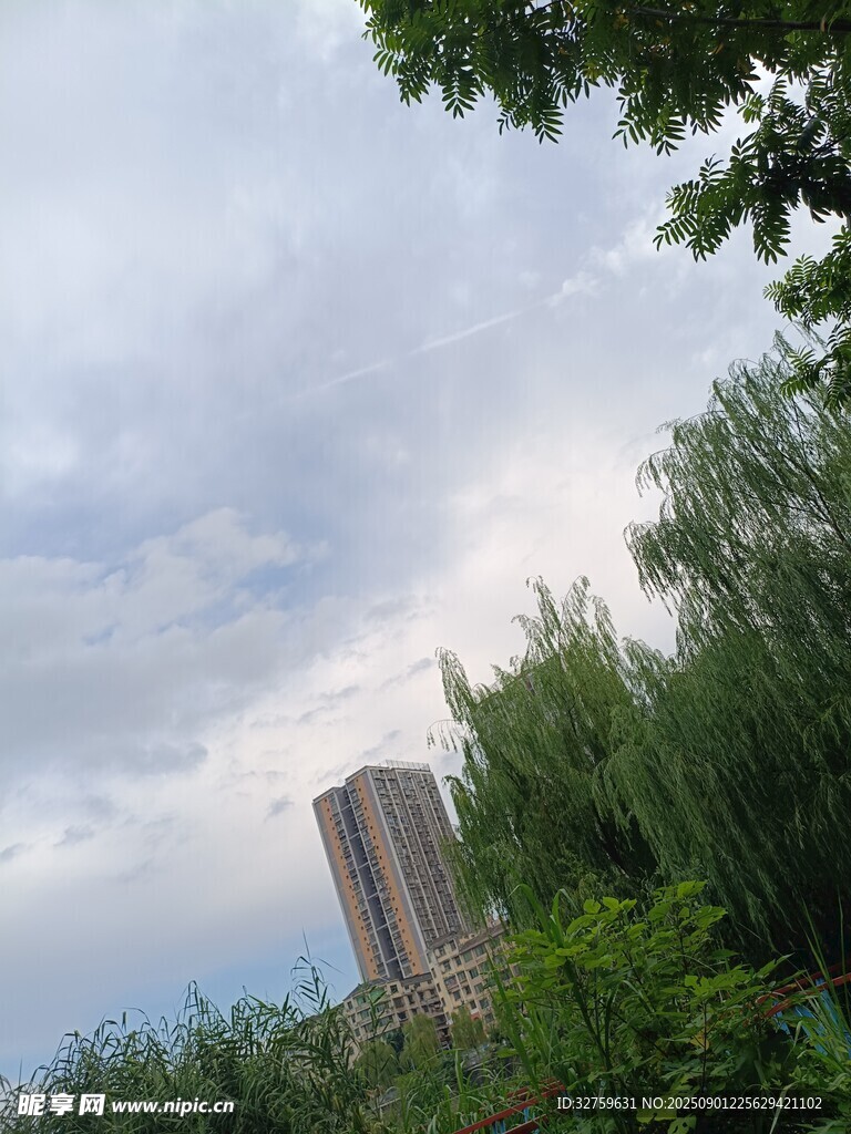 绿树掩映下的高楼景象