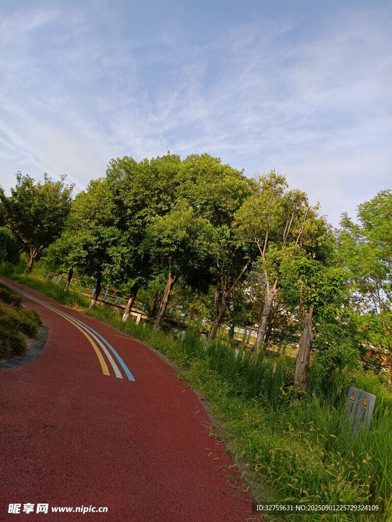 林间红道 
