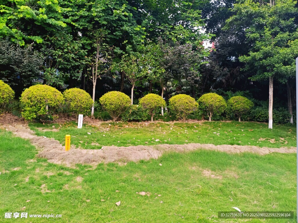绿意盎然的园林景观