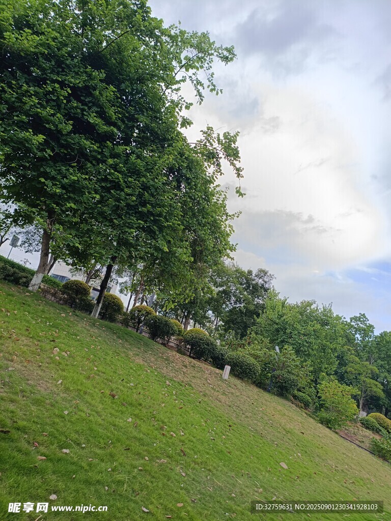 绿意盎然的户外草地风景