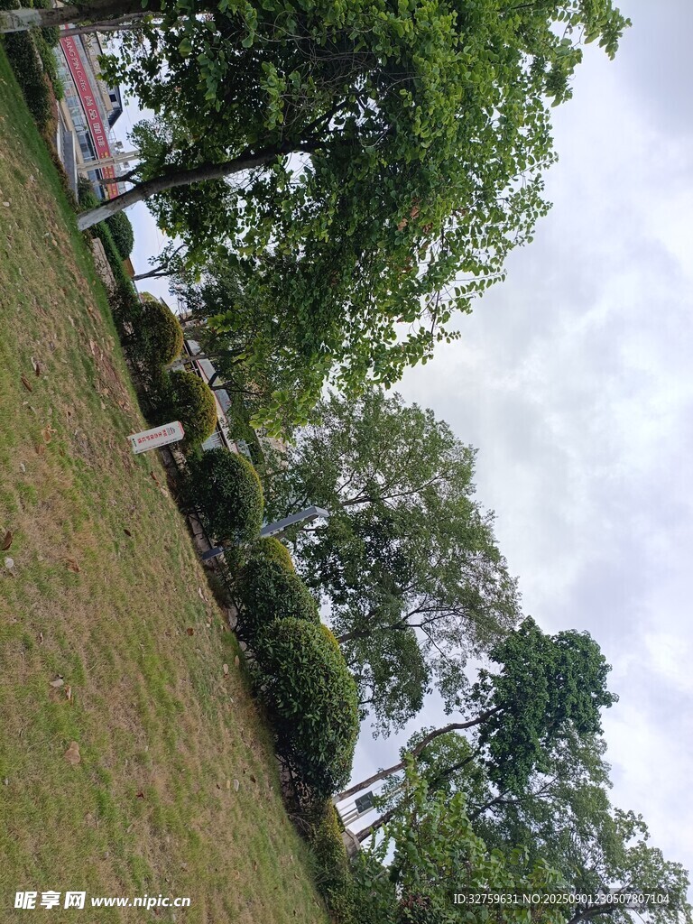 户外绿树草地风景图