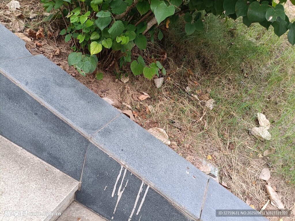 户外台阶旁的绿植景观