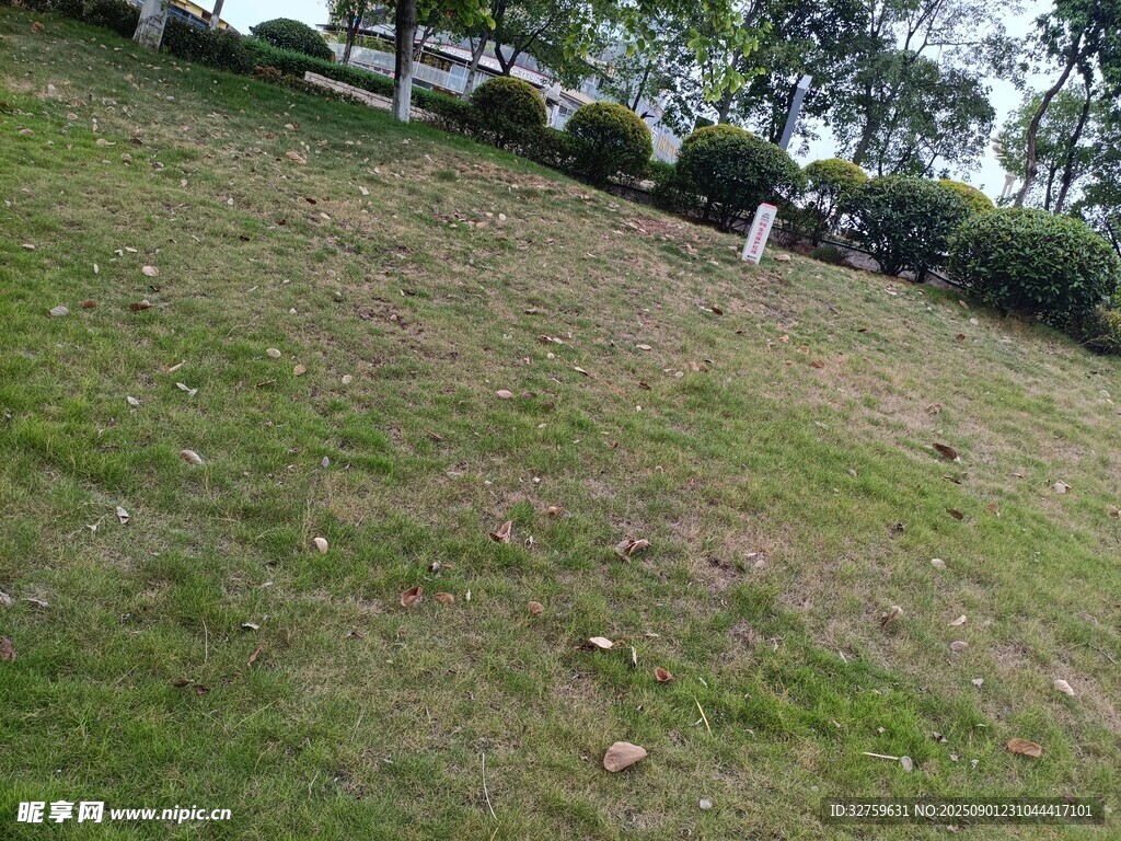户外草地景观