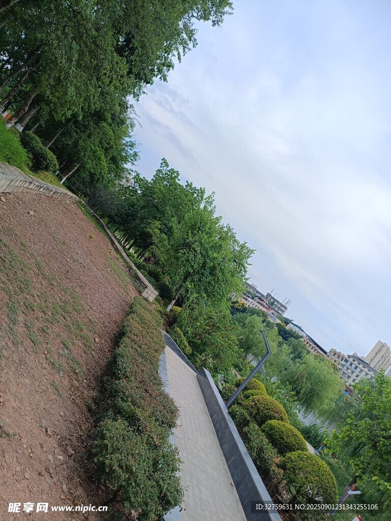城市中的绿意小径