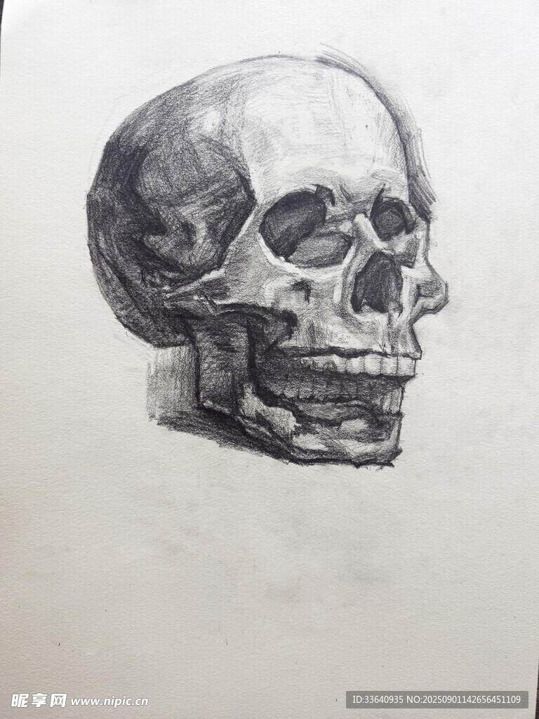 素描石膏像