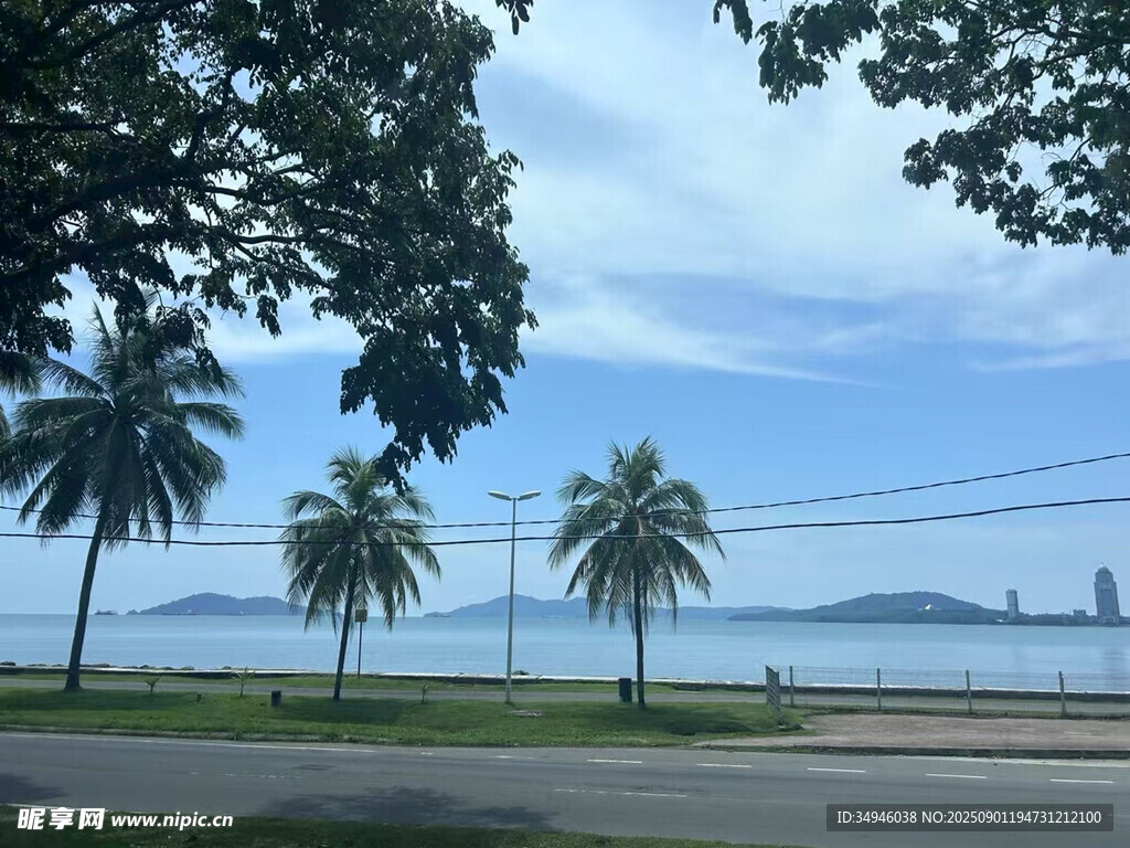 海滨椰树风景