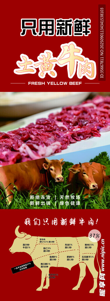 土黄牛肉