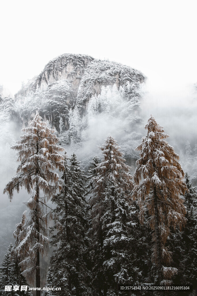 雪覆山林云雾缭绕之景