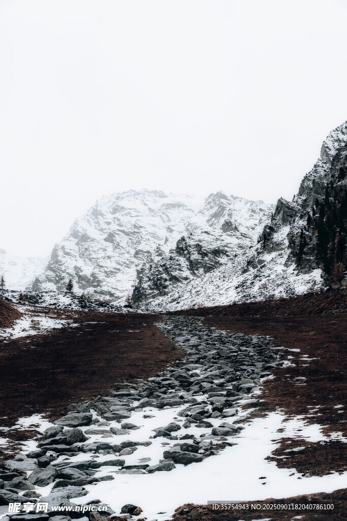 雪山下的荒野景观