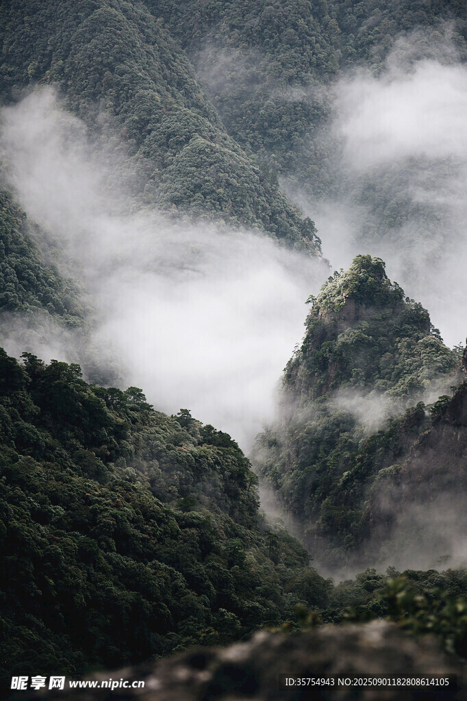 云雾缭绕的翠绿山峦