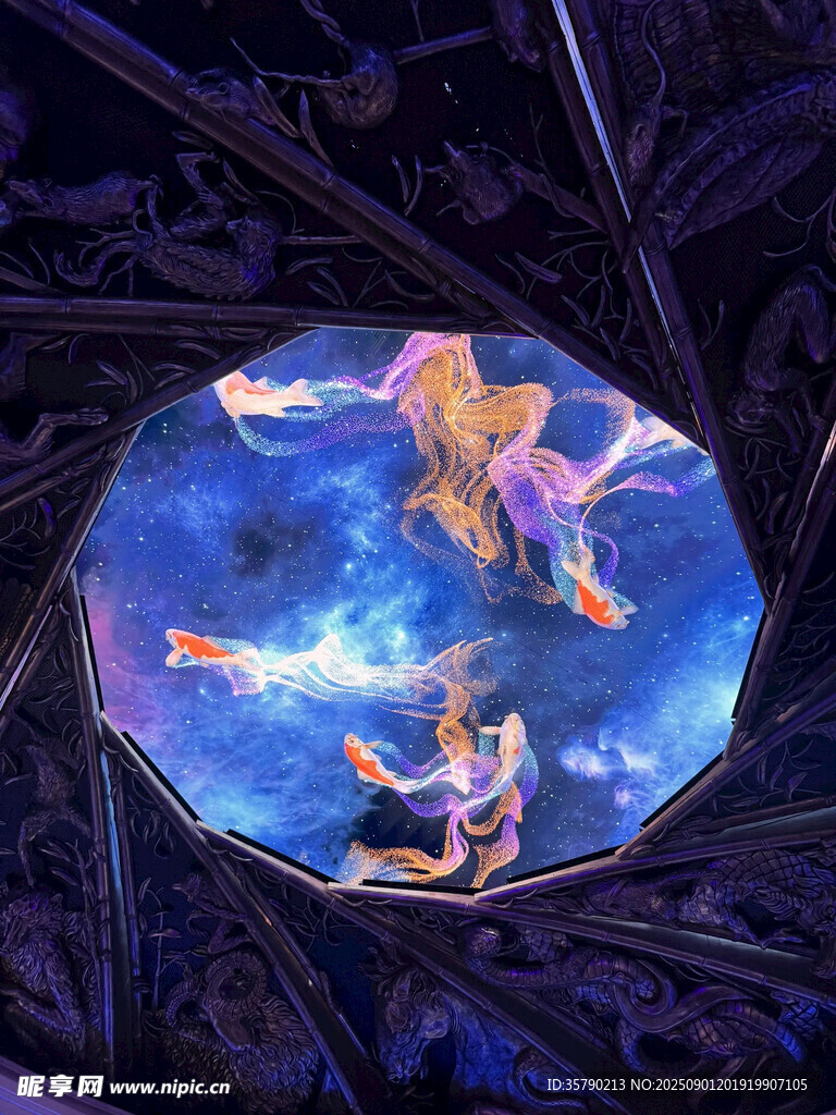 奇幻星空下的飞翔场景