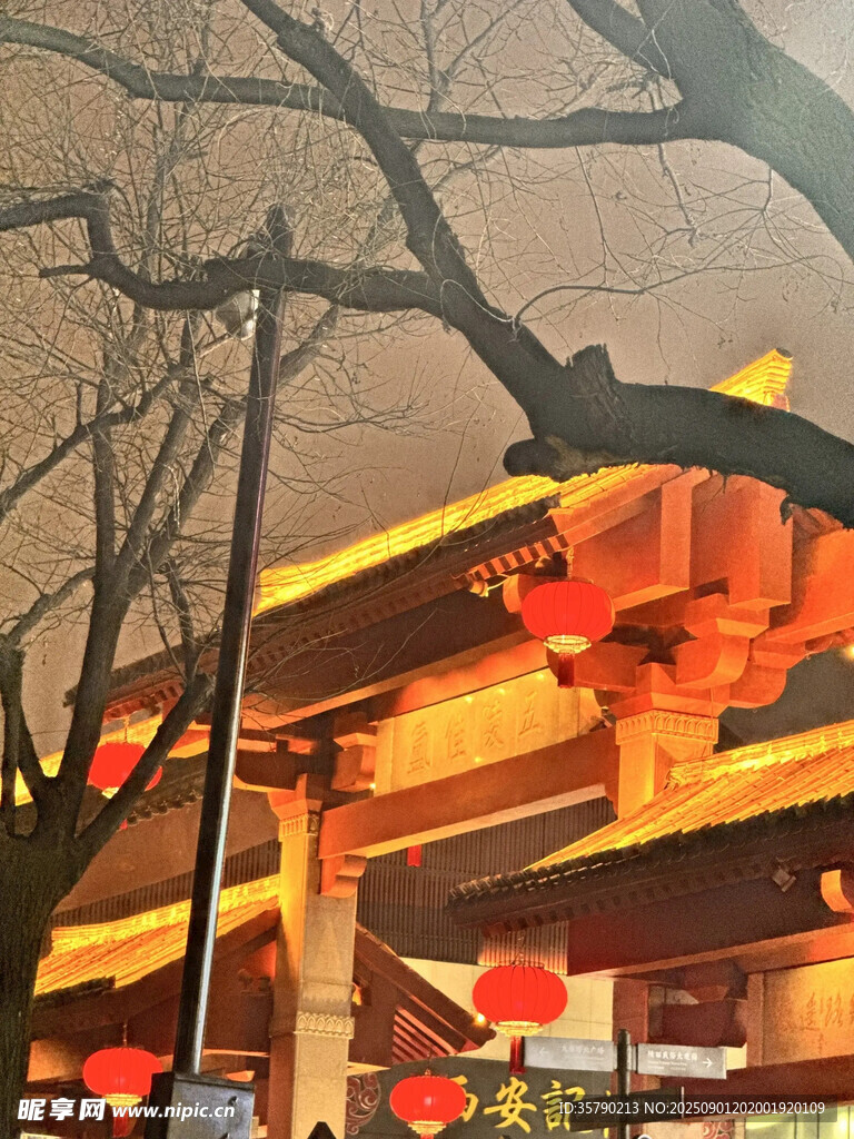古建夜景 红灯映照树影