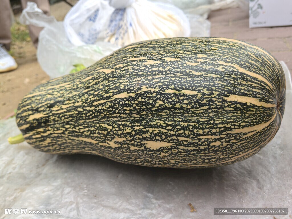 独特条纹南瓜特写