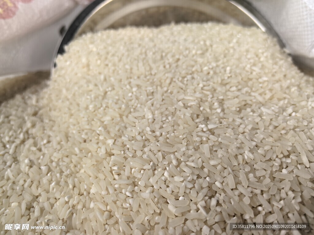 满满一盆优质大米
