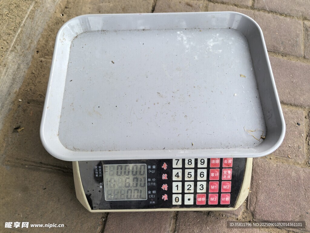 电子秤上的金属托盘