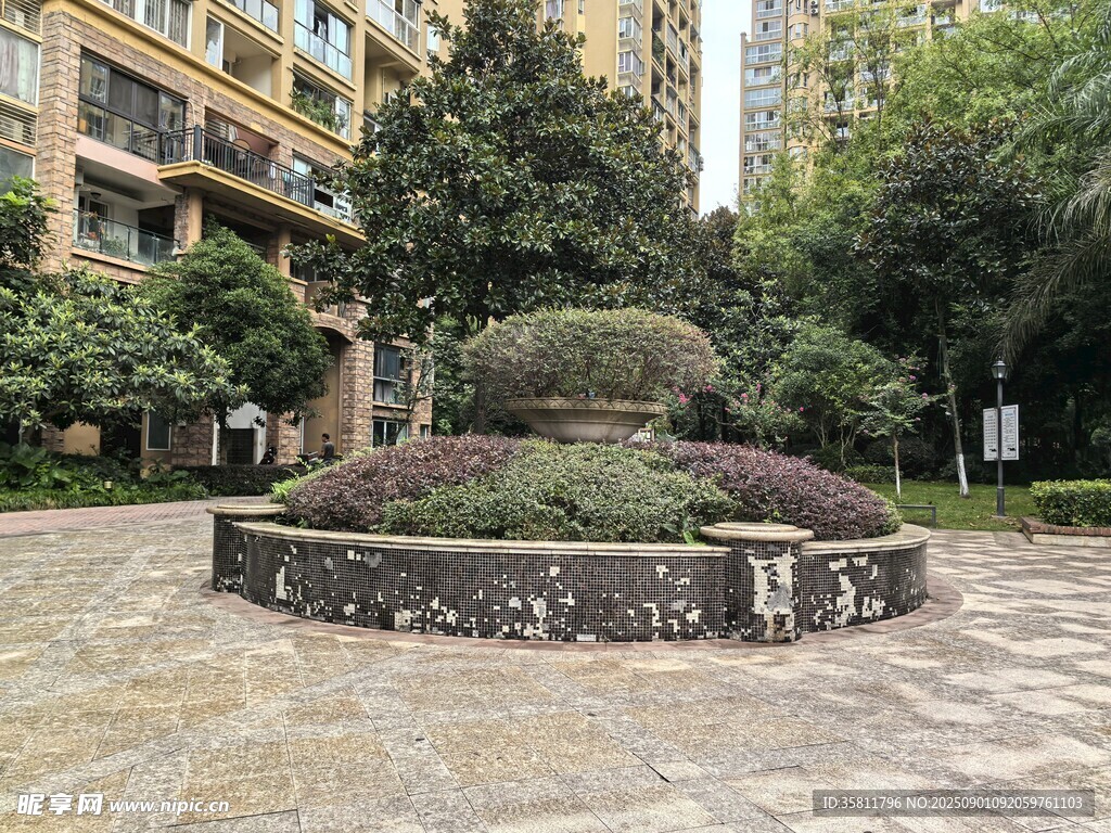 小区内精致绿植景观